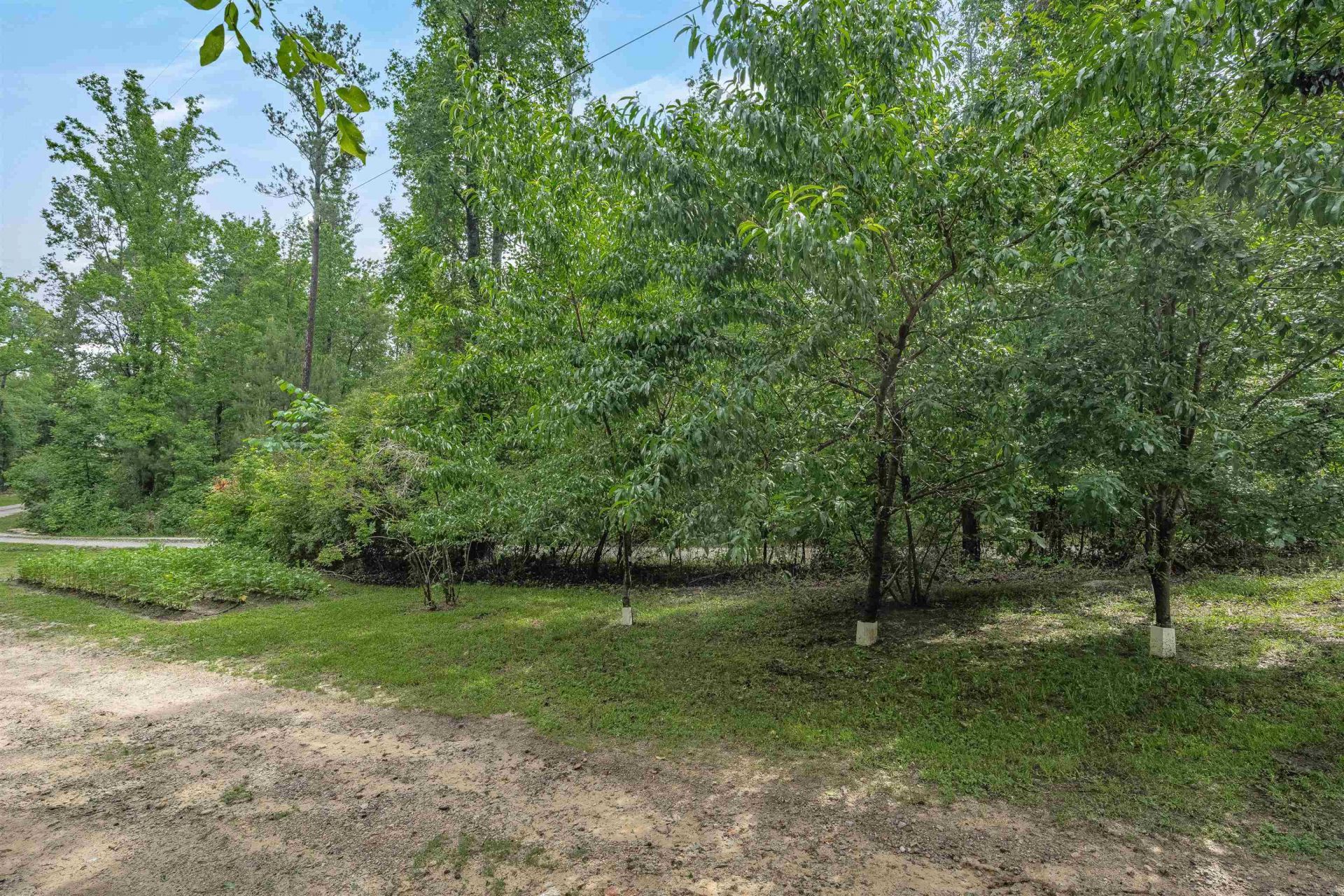 565 Portia Rd Photo 46