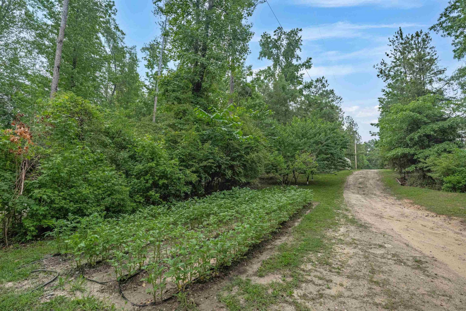 565 Portia Rd Photo 47