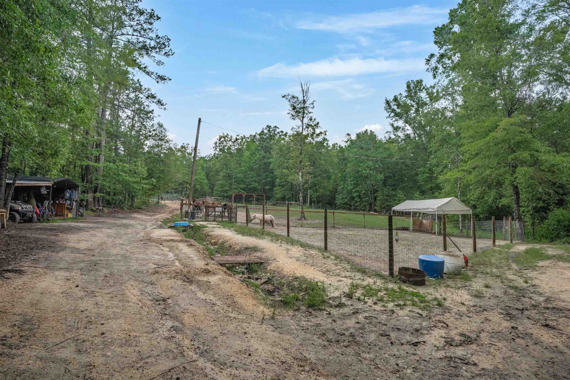 565 Portia Rd Photo 48