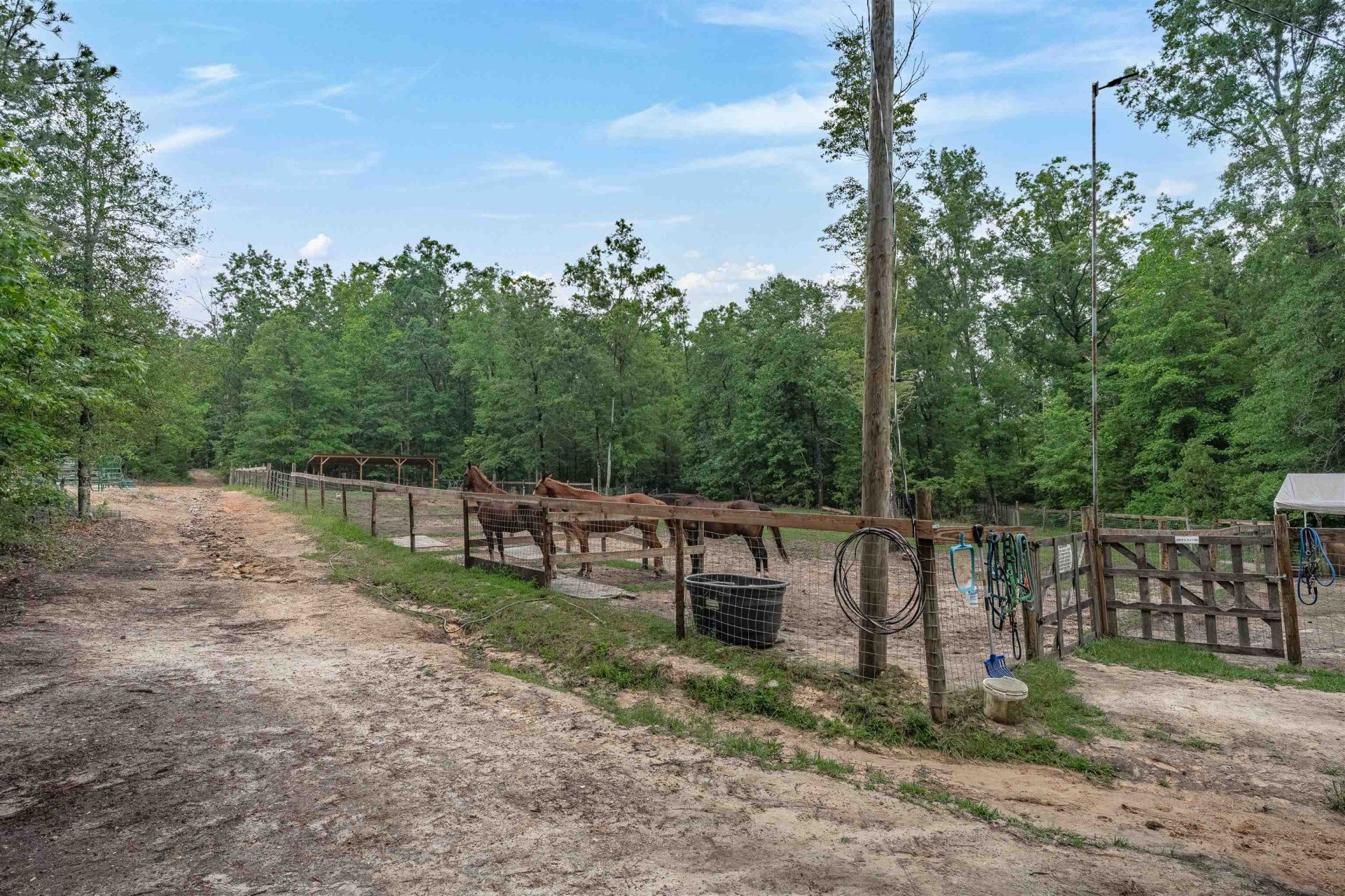 565 Portia Rd Photo 49