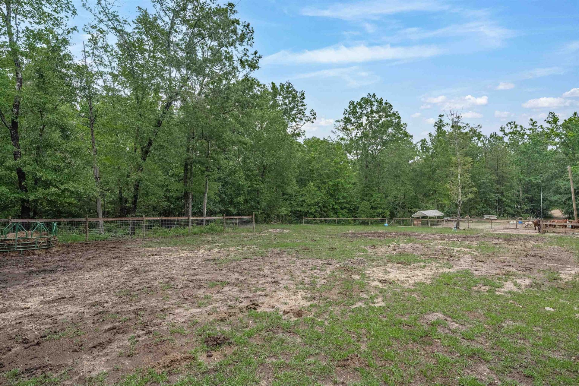 565 Portia Rd Photo 53