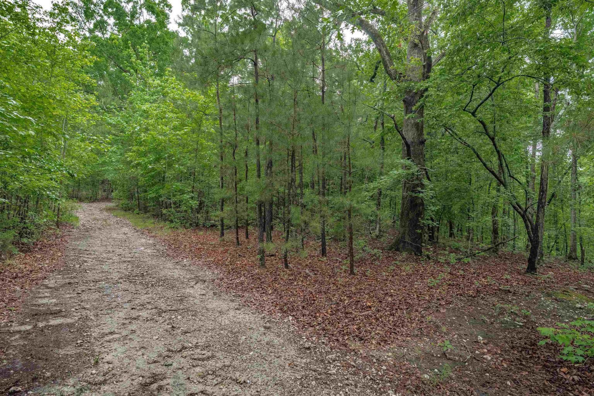 565 Portia Rd Photo 55