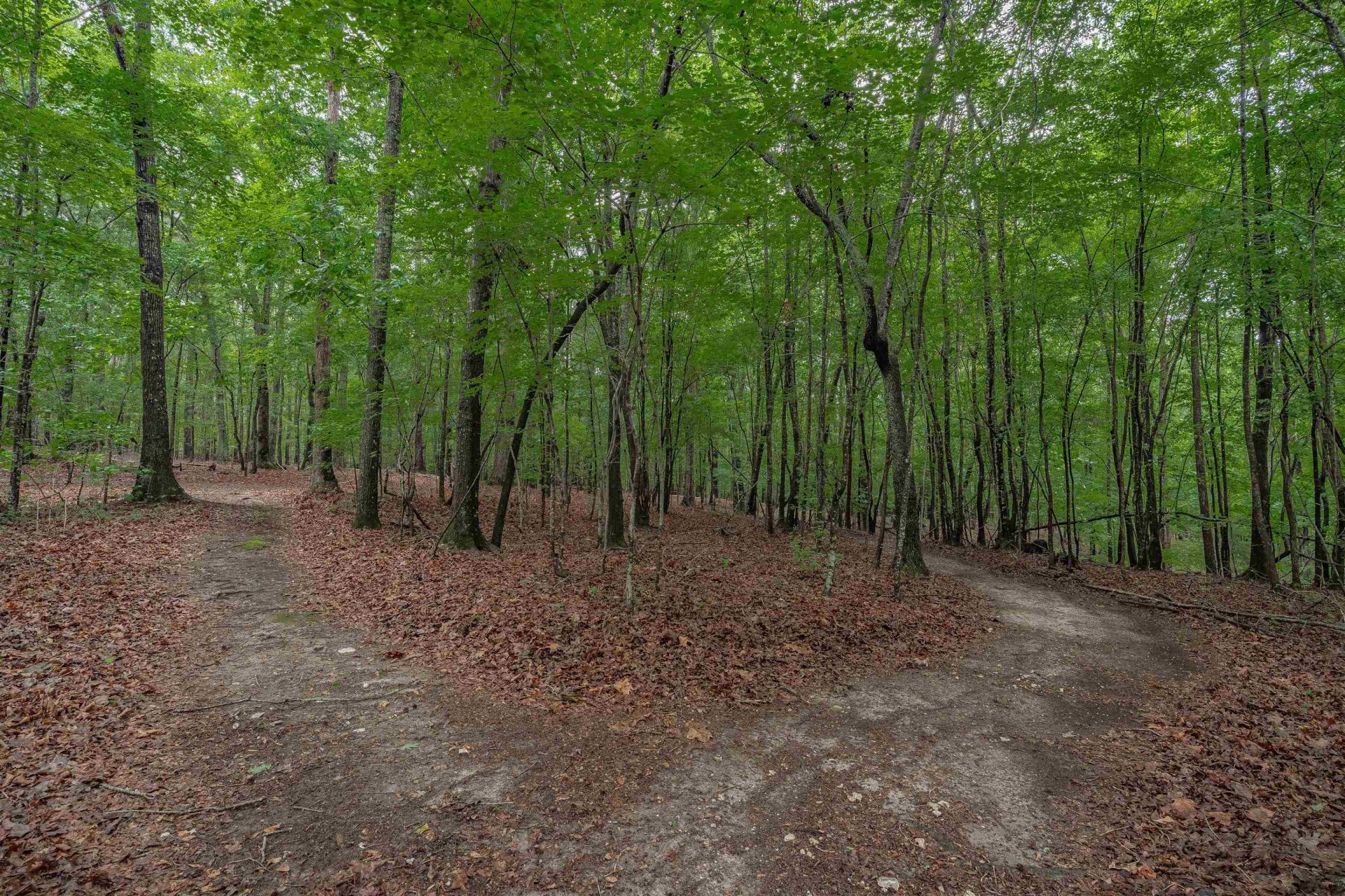 565 Portia Rd Photo 56