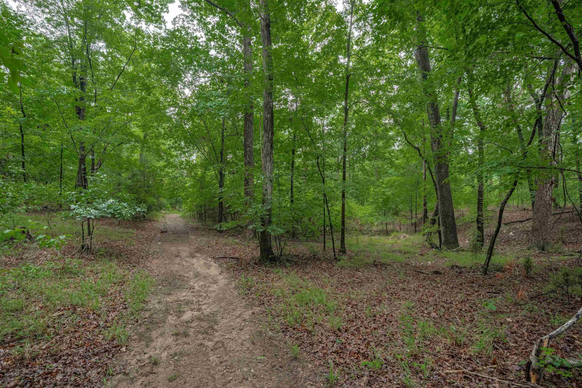 565 Portia Rd Photo 58