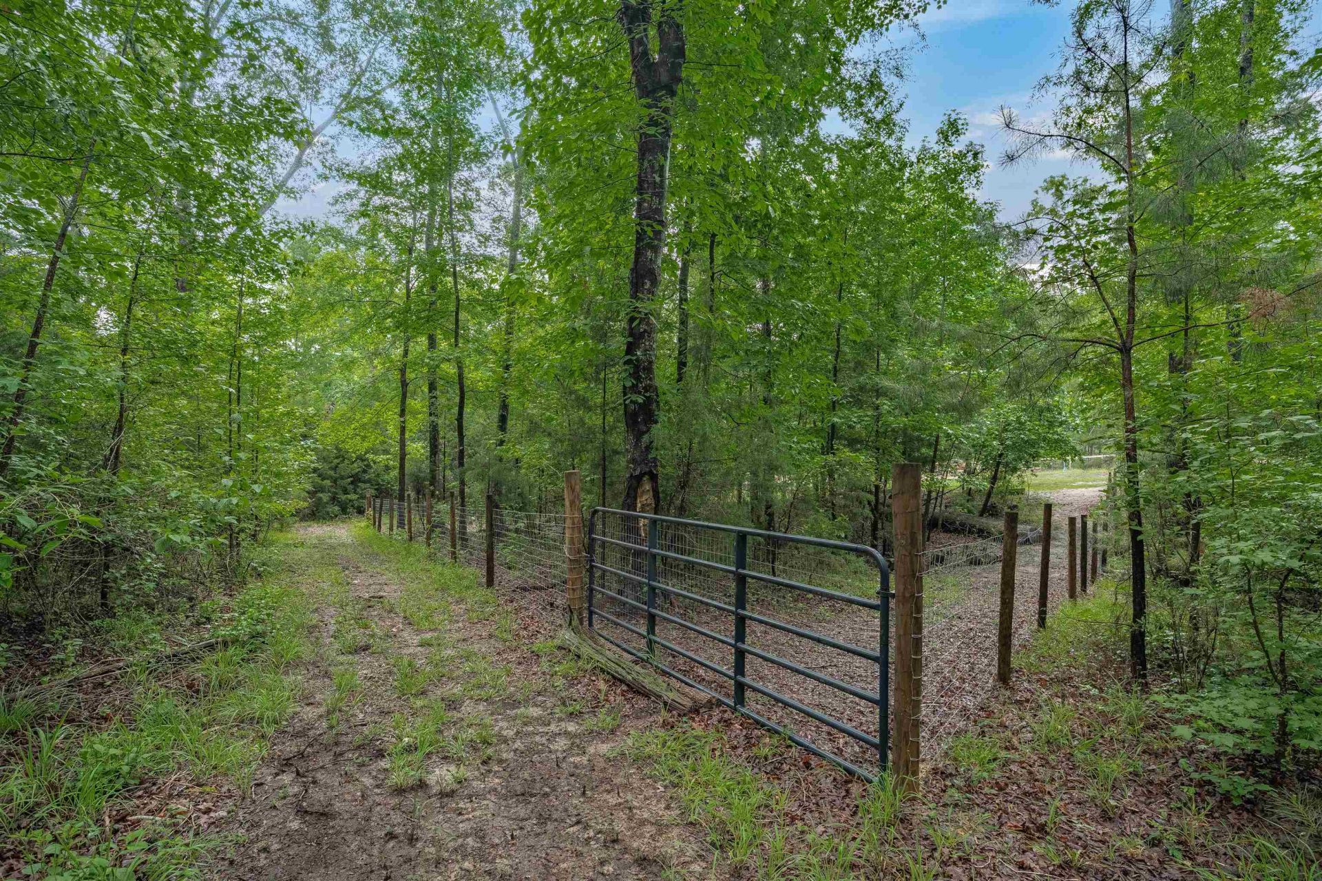 565 Portia Rd Photo 59