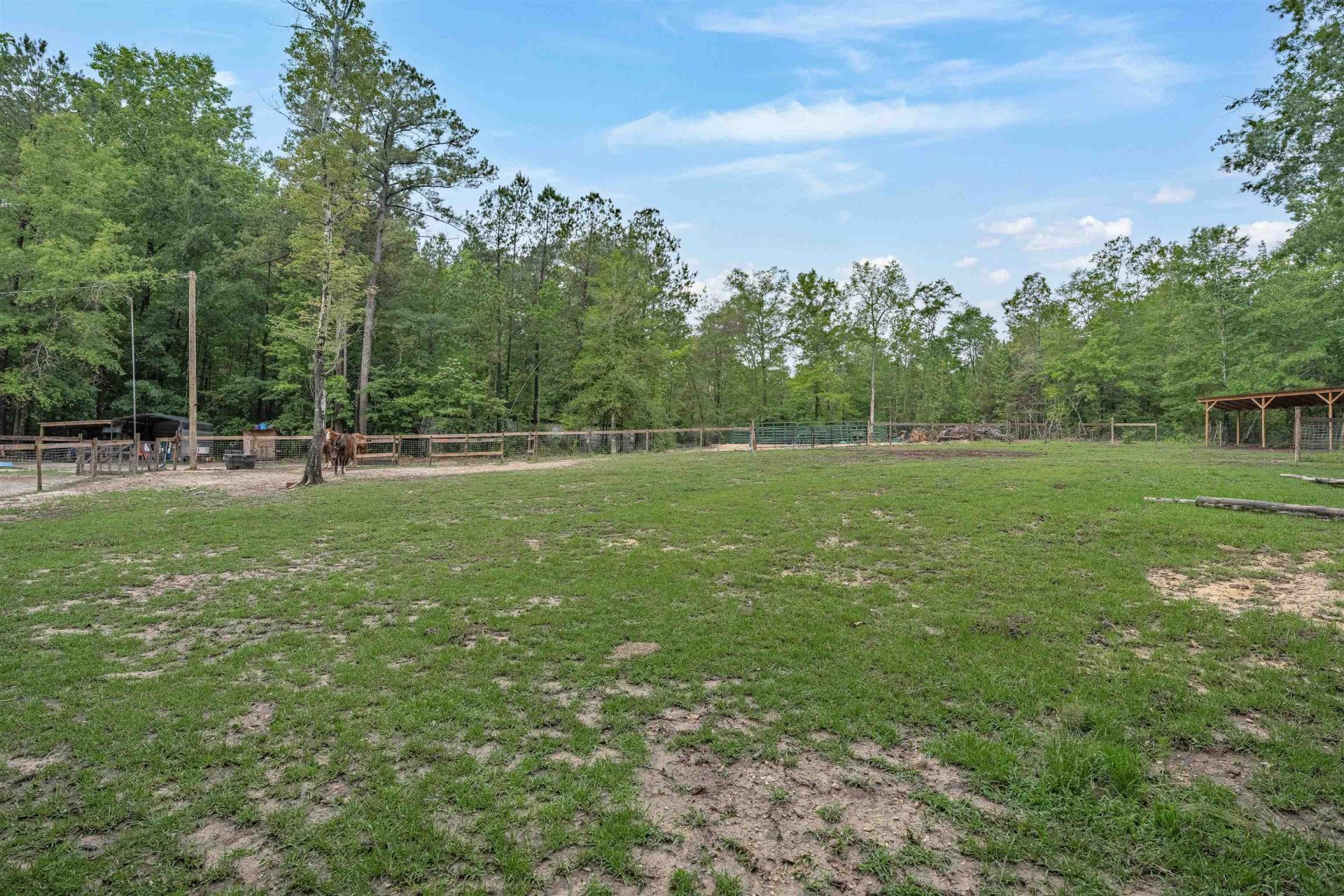 565 Portia Rd Photo 60