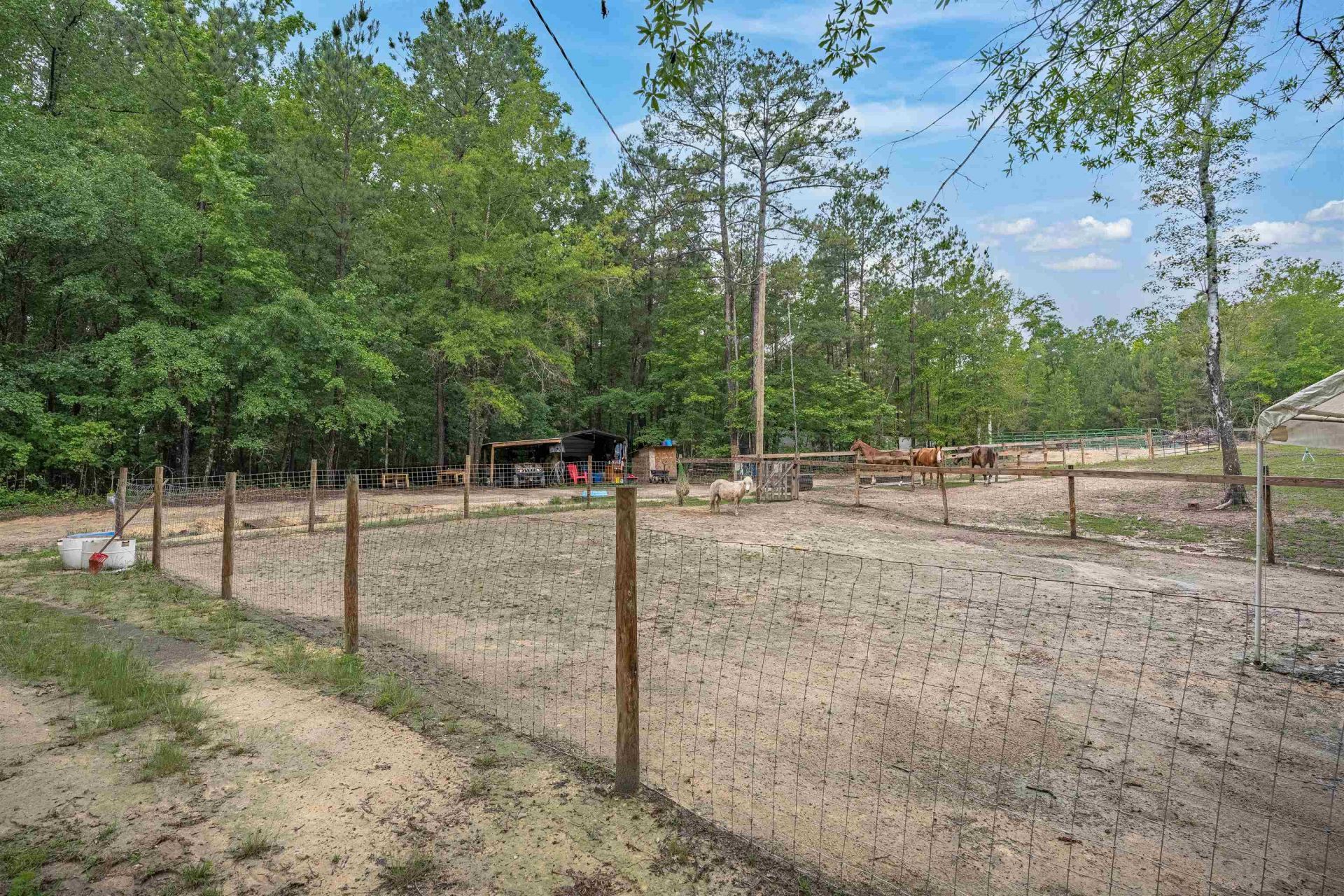 565 Portia Rd Photo 61