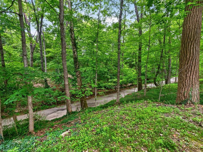 176 E Weber Road, Columbus, OH 43202 Photo 38
