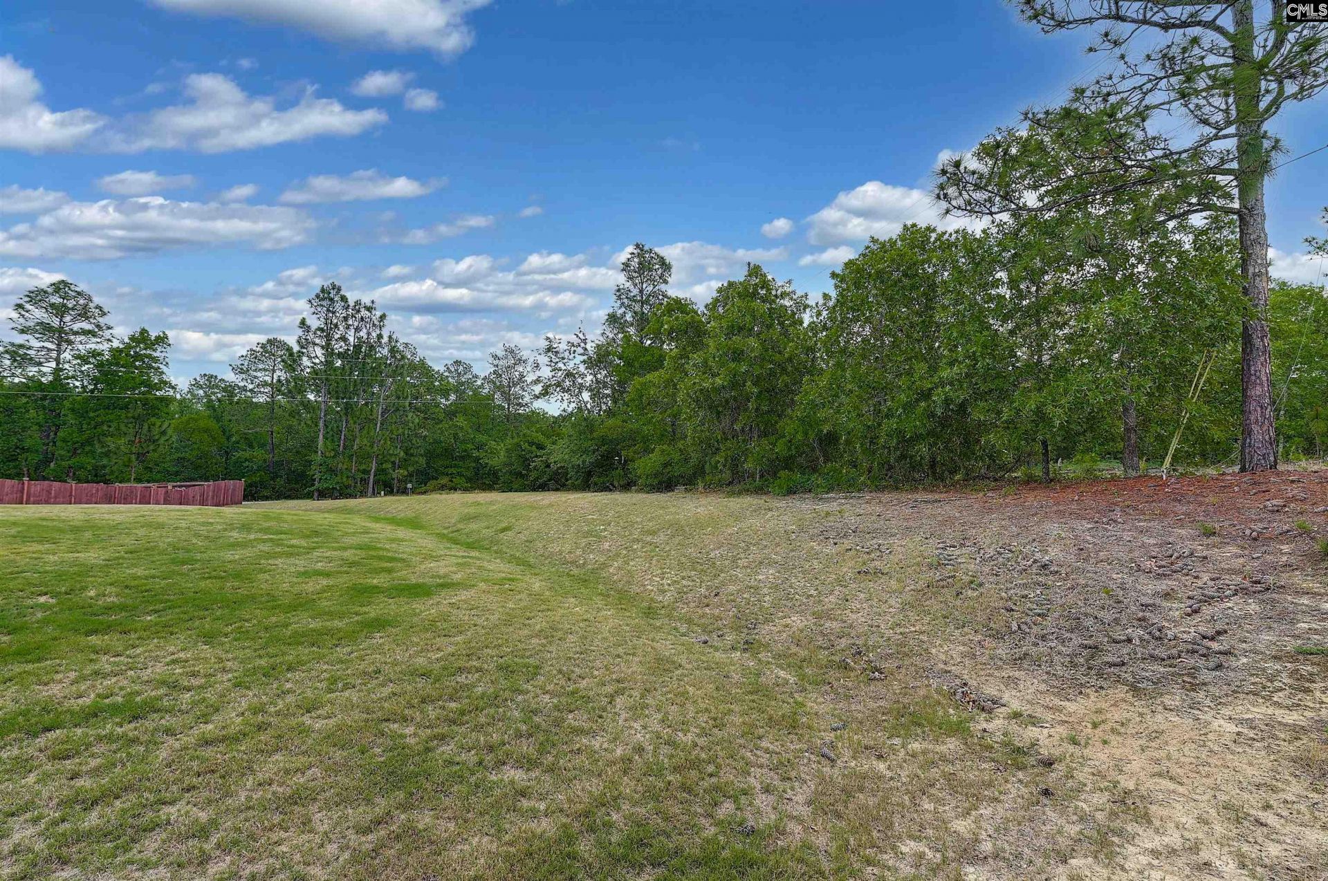 218 Vista View Court  Photo 49