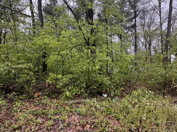V/L Paw Paw Trail, Howard City, MI 49329