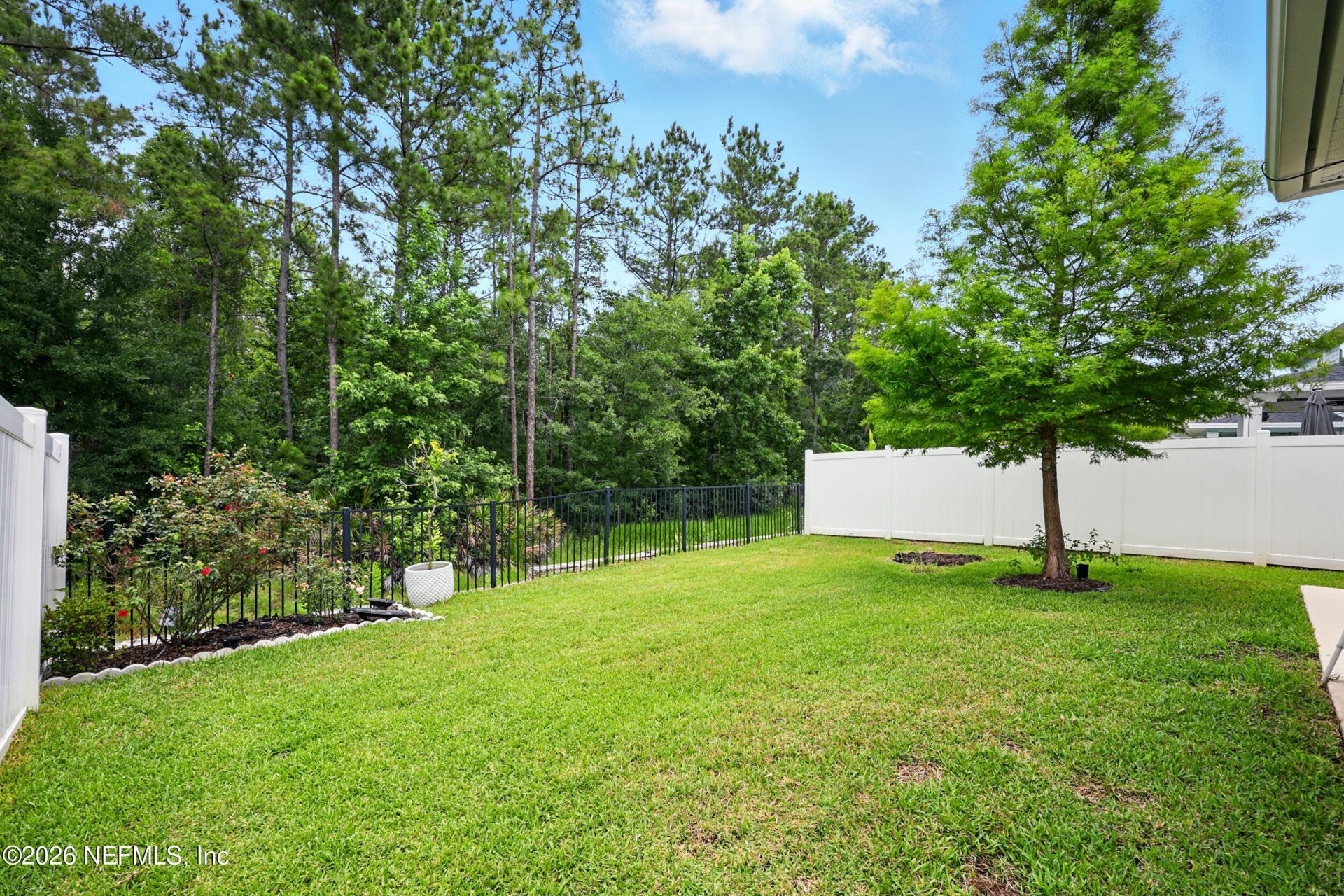 14367 Durbin Island Way, Jacksonville, FL 32259 Photo