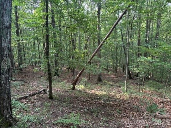 00 Cardinal Circle , Tryon, NC 28782