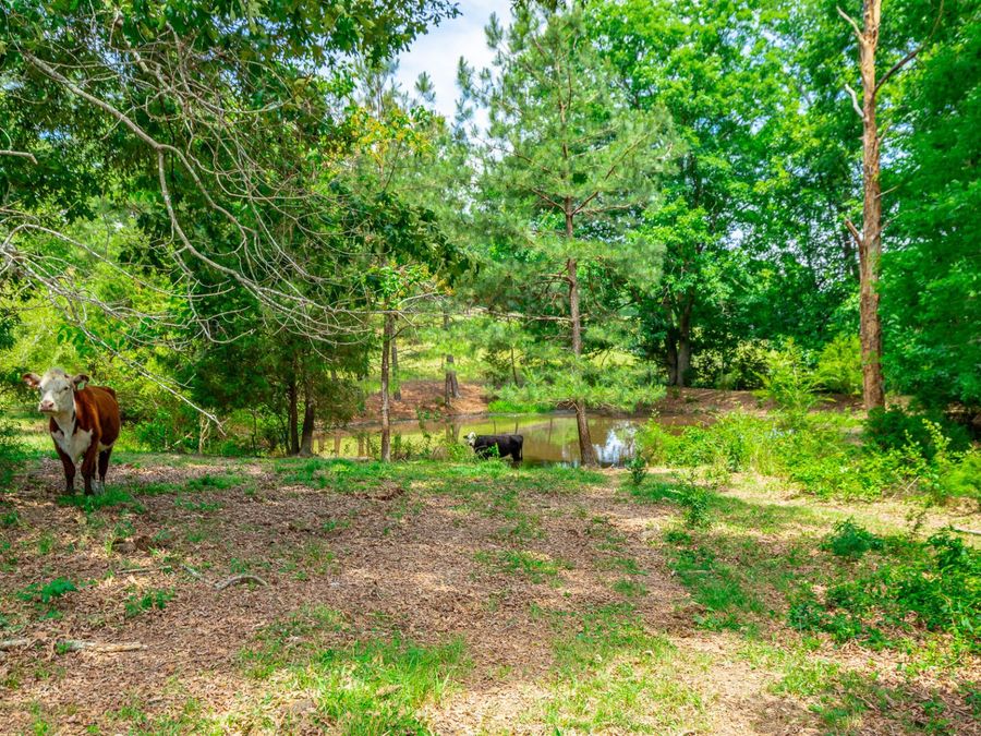 Property Image 103