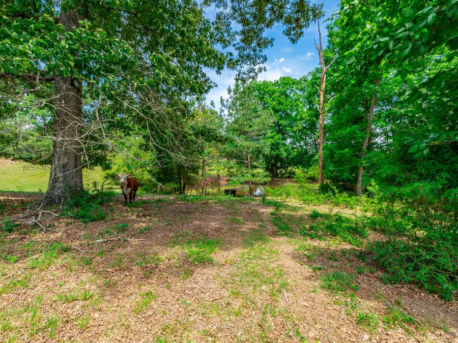 Property Image 104