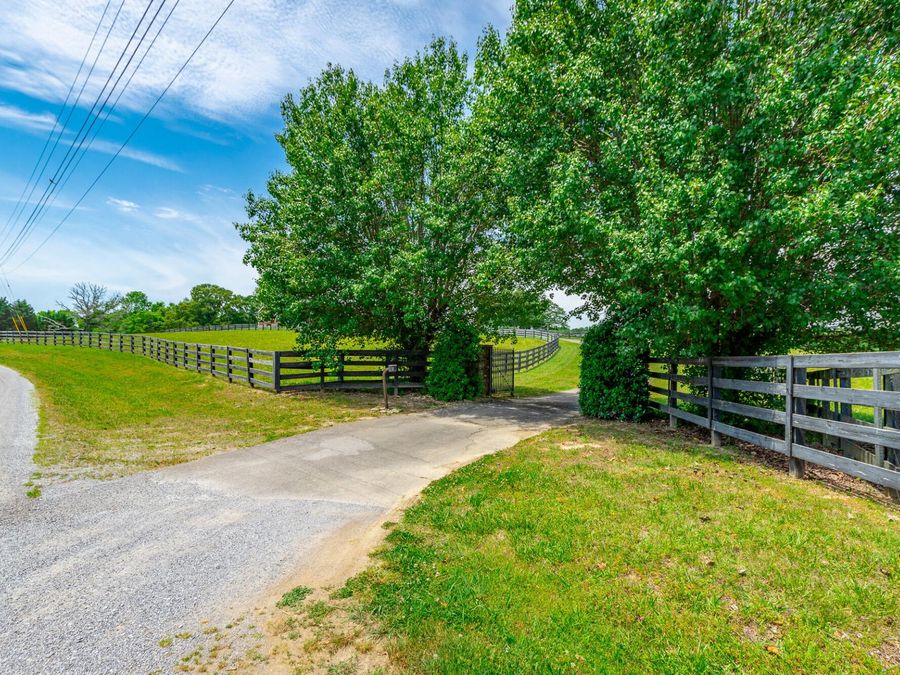 Property Image 98