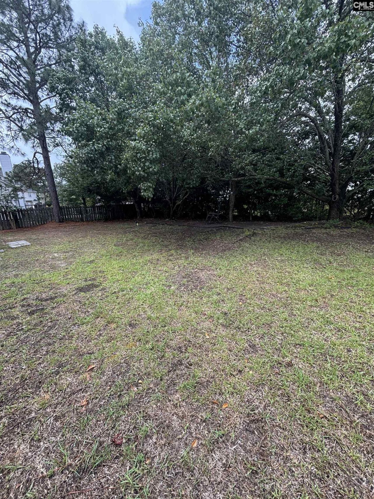 209 Cherry Stone Drive  Photo 11