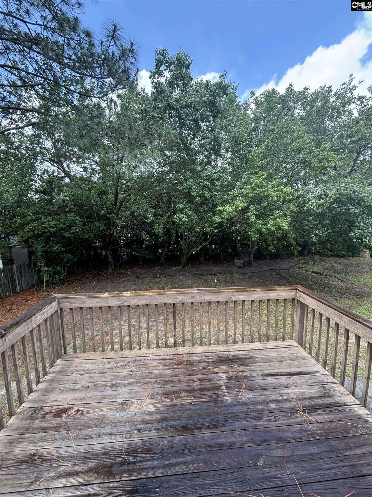 209 Cherry Stone Drive  Photo 12