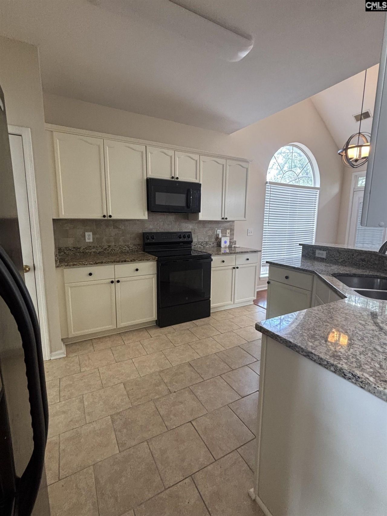 209 Cherry Stone Drive  Photo 14