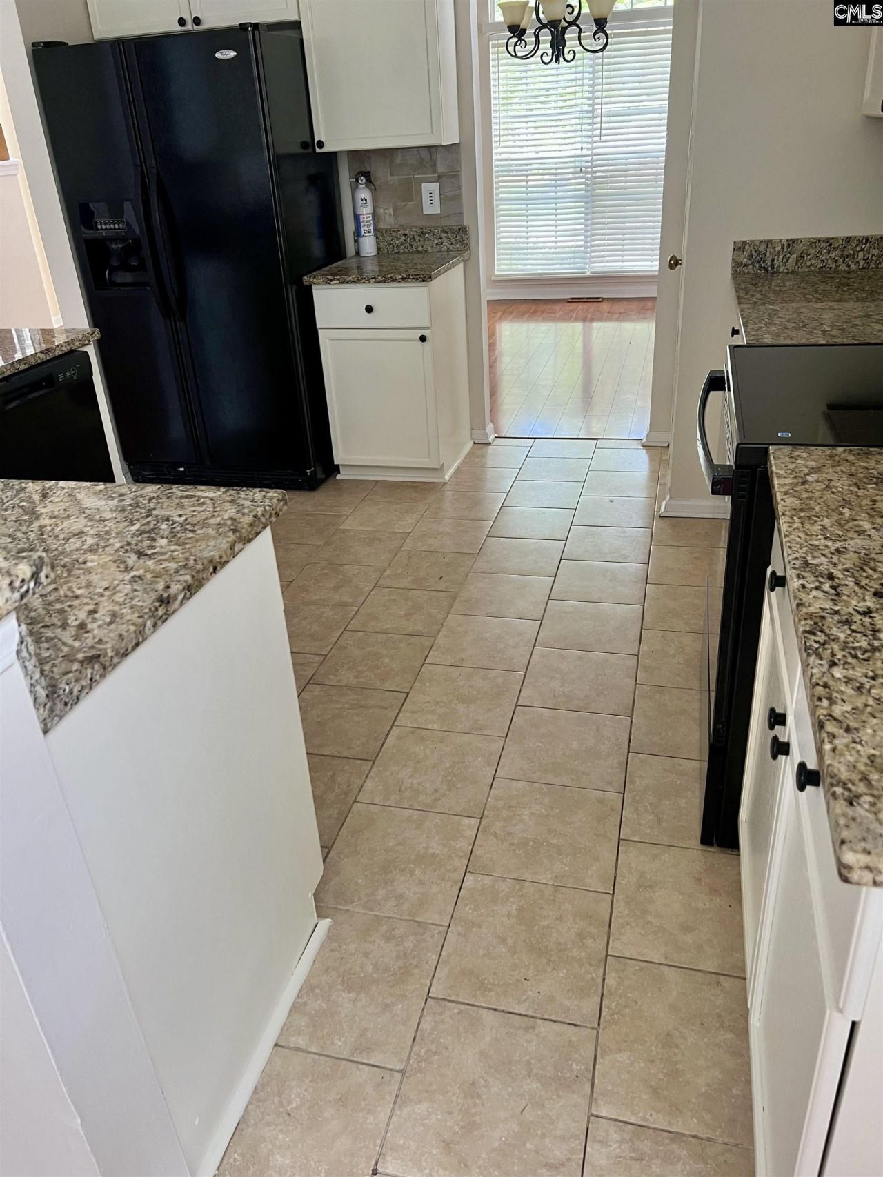 209 Cherry Stone Drive  Photo 30