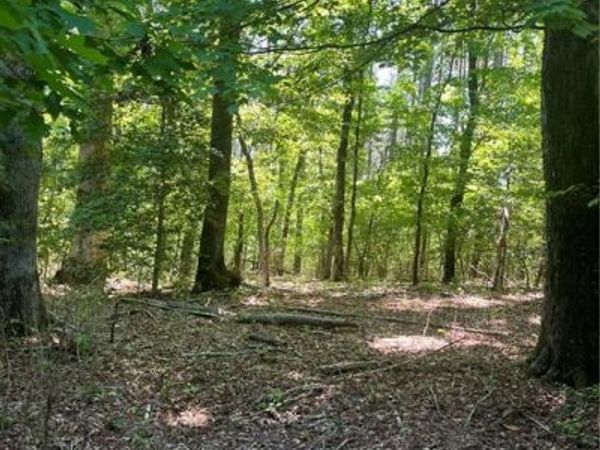 0 Palmer Road , Westfield, NC 27053