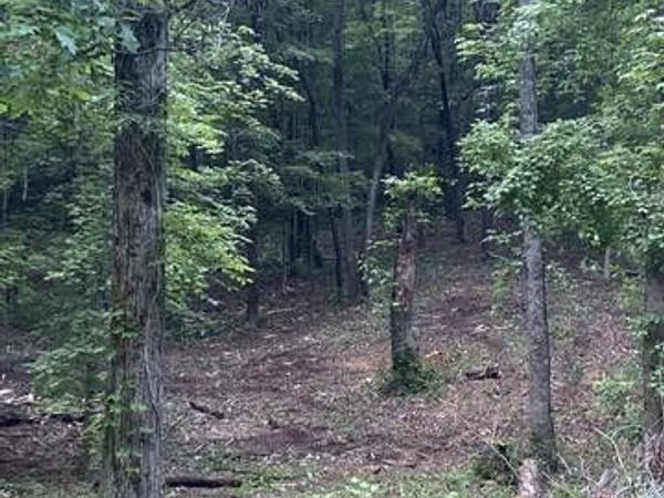 296 County Road 263 , Niota, TN 37826