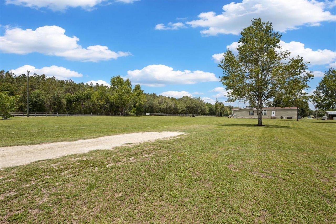 133 SW Sedgefield Lane, Fort White, FL 32038 Photo