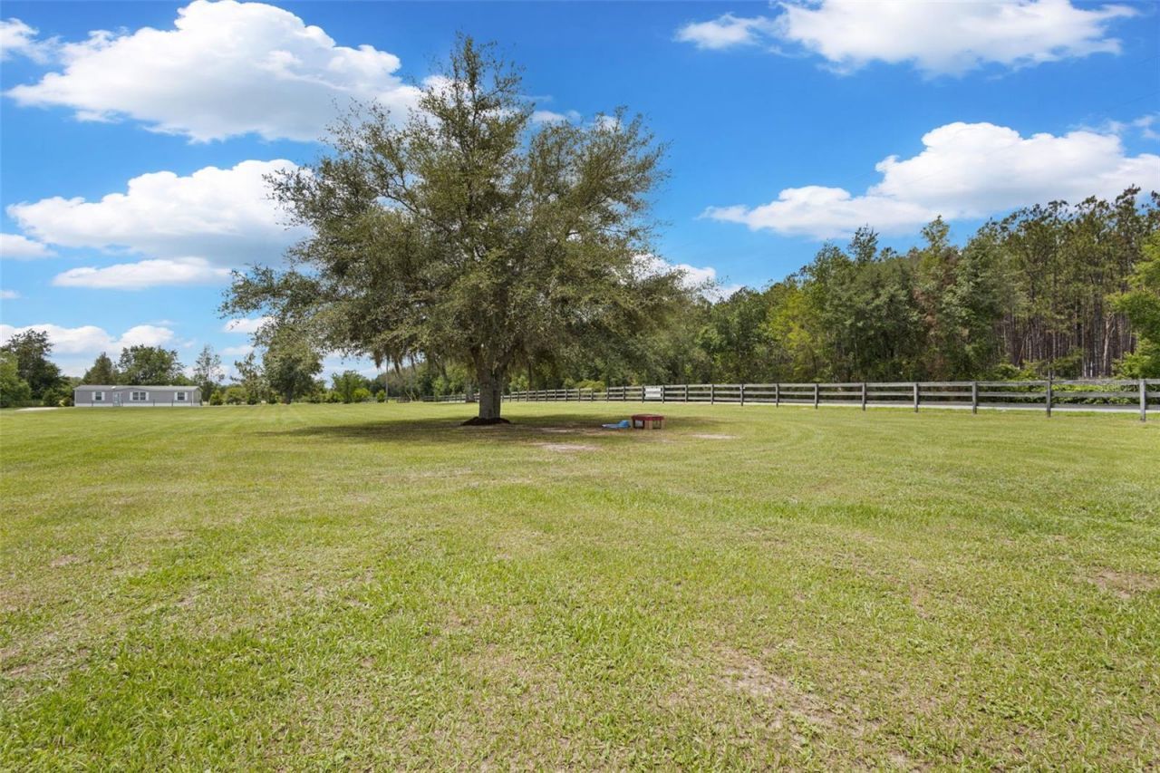 133 SW Sedgefield Lane, Fort White, FL 32038 Photo