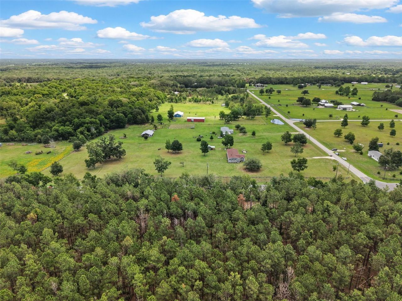 133 SW Sedgefield Lane, Fort White, FL 32038 Photo