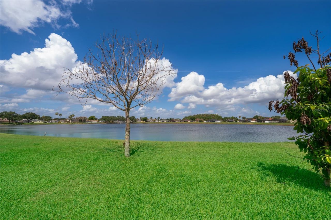 2654 Hawthorne Lane, Kissimmee, FL 34743 Photo
