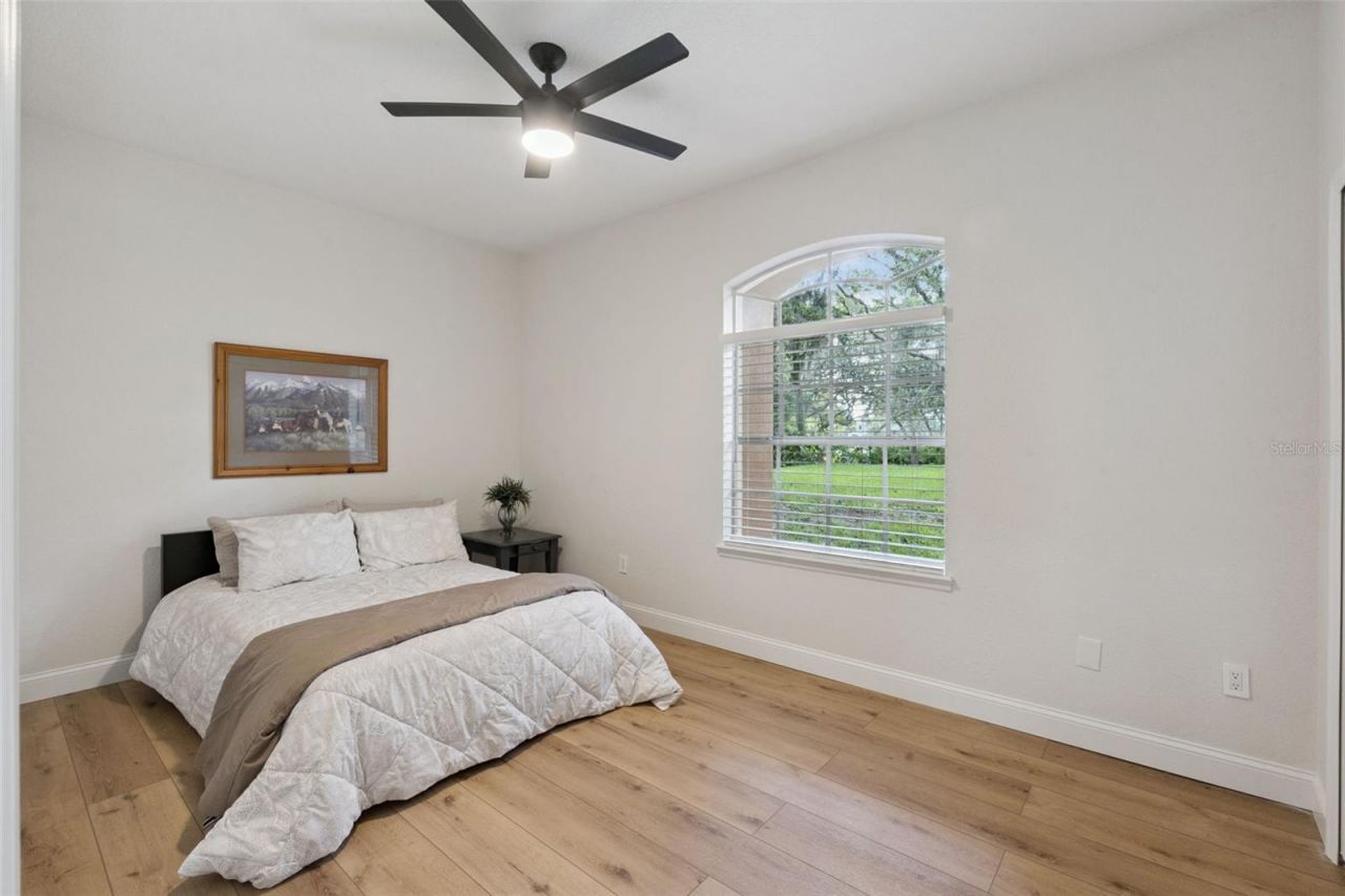 796 Mills Estate Place, Chuluota, FL 32766 Photo