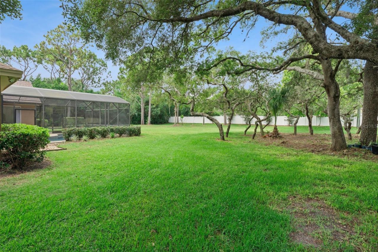 796 Mills Estate Place, Chuluota, FL 32766 Photo