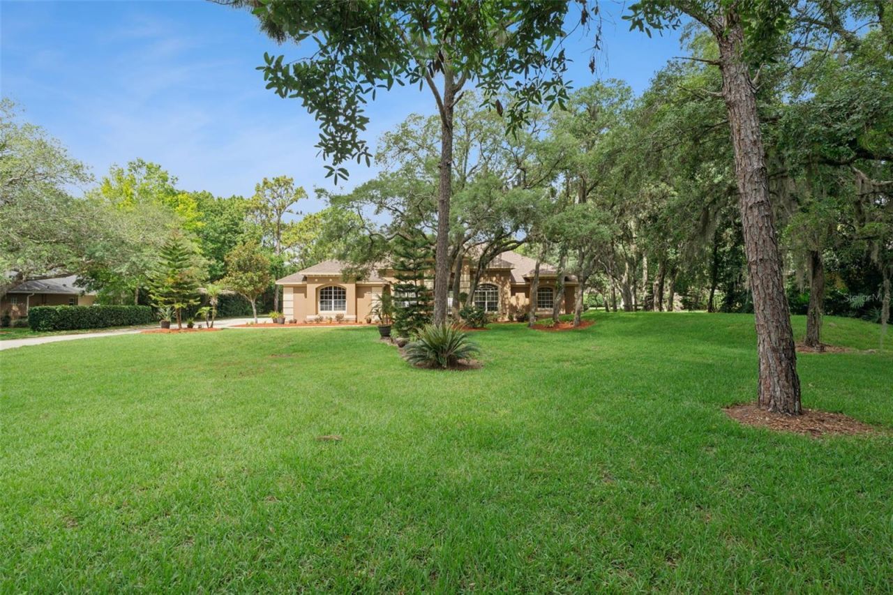796 Mills Estate Place, Chuluota, FL 32766 Photo