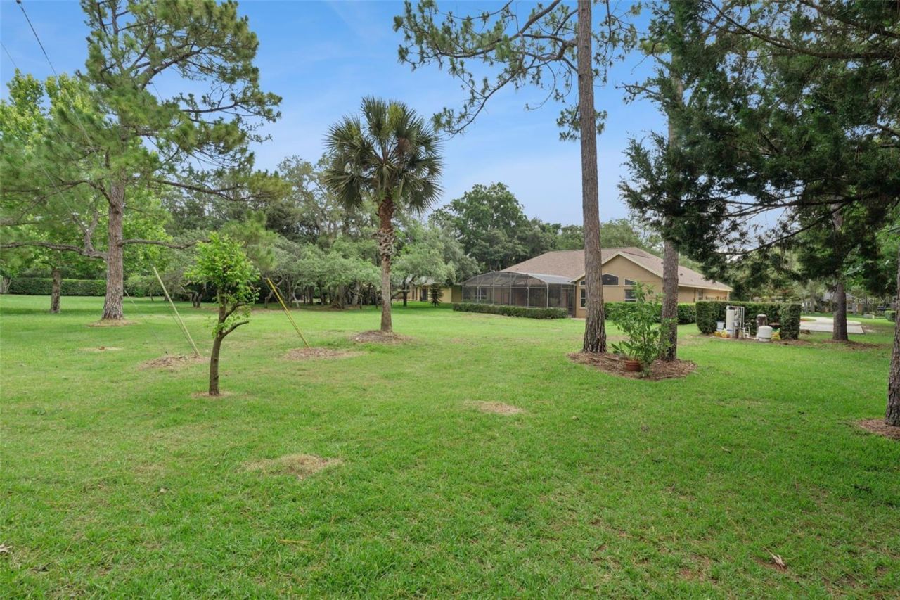 796 Mills Estate Place, Chuluota, FL 32766 Photo