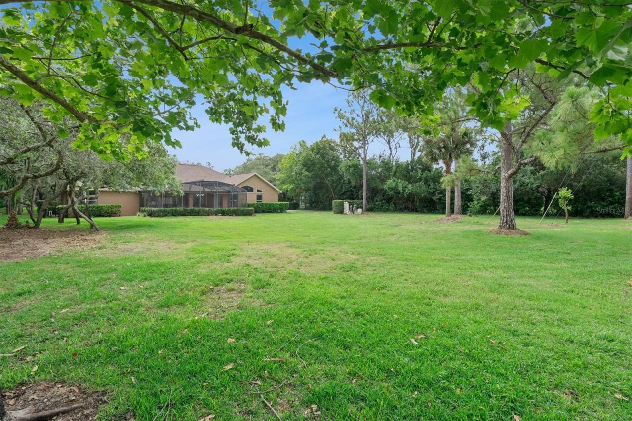 796 Mills Estate Place, Chuluota, FL 32766 Photo