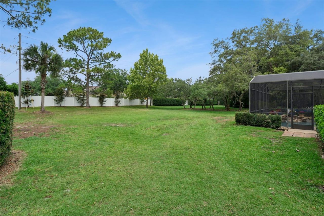 796 Mills Estate Place, Chuluota, FL 32766 Photo