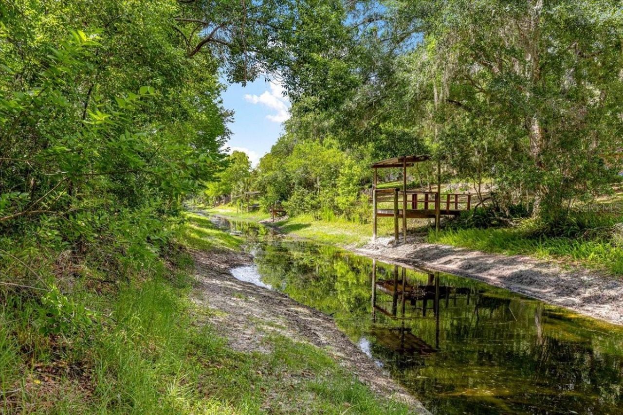 2964 S Cygnet Terrace, Inverness, FL 34450 Photo