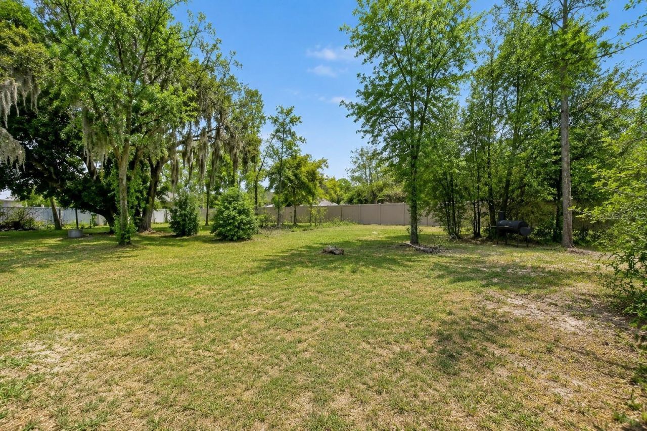 10606 Planer Picket Drive, Riverview, FL 33569 Photo