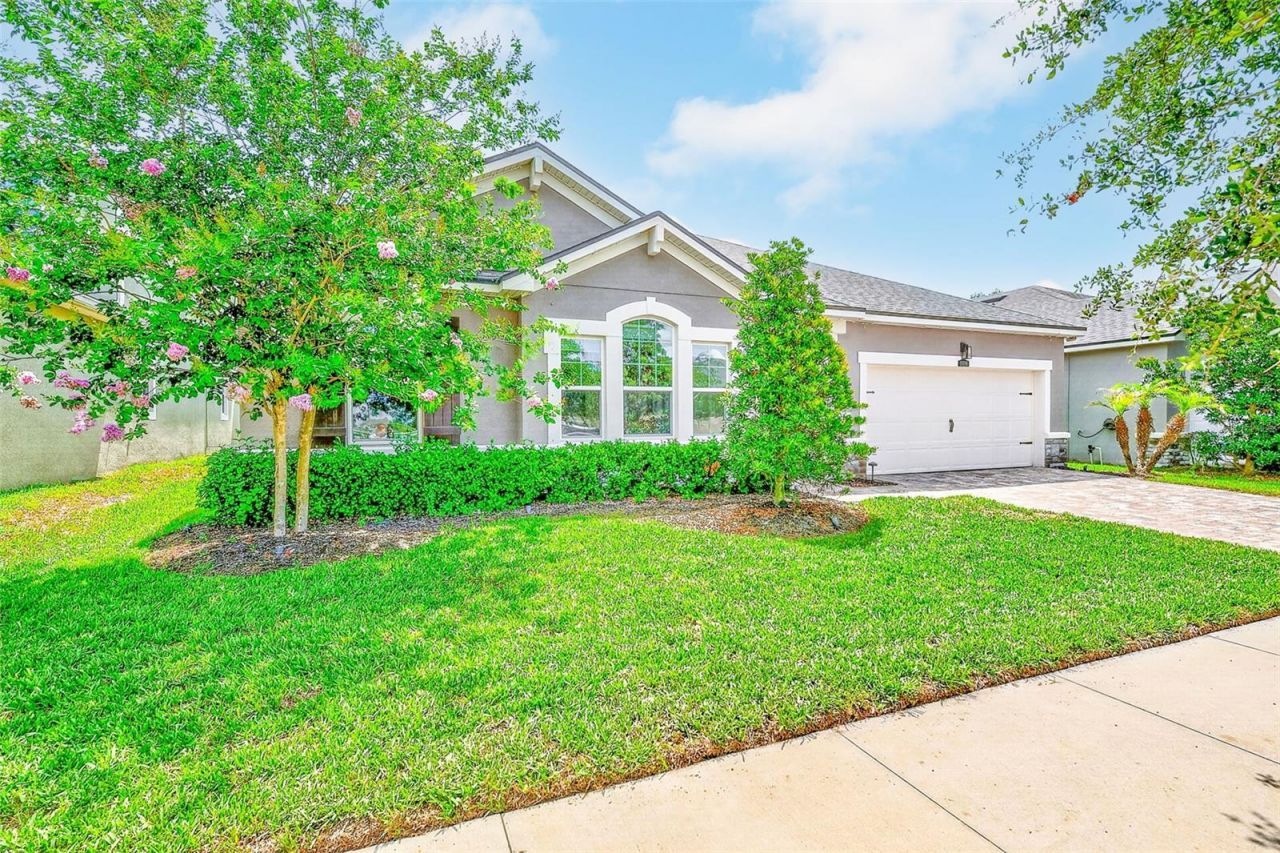 10606 Planer Picket Drive, Riverview, FL 33569 Photo