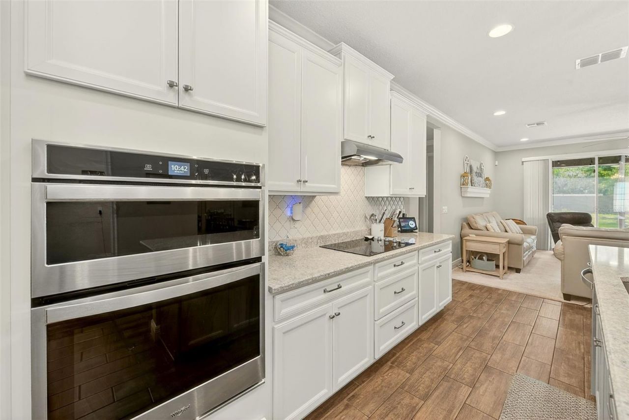 10606 Planer Picket Drive, Riverview, FL 33569 Photo