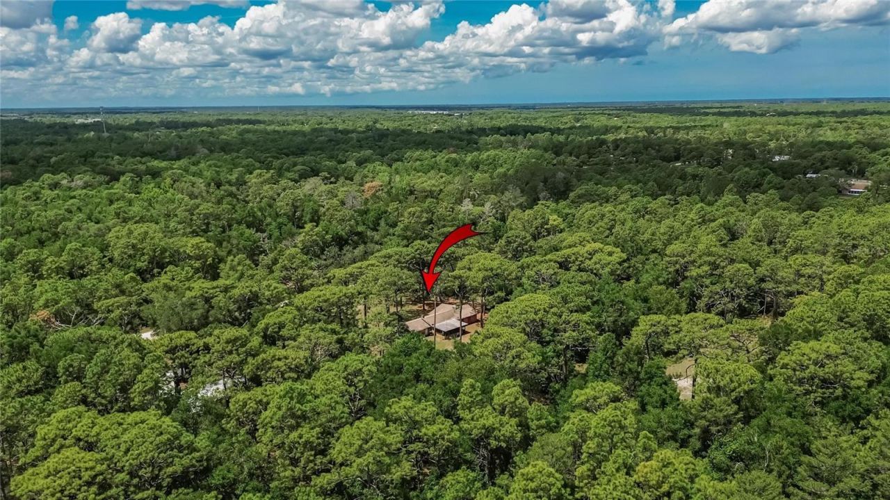 15337 Virts Avenue, Brooksville, FL 34604 Photo