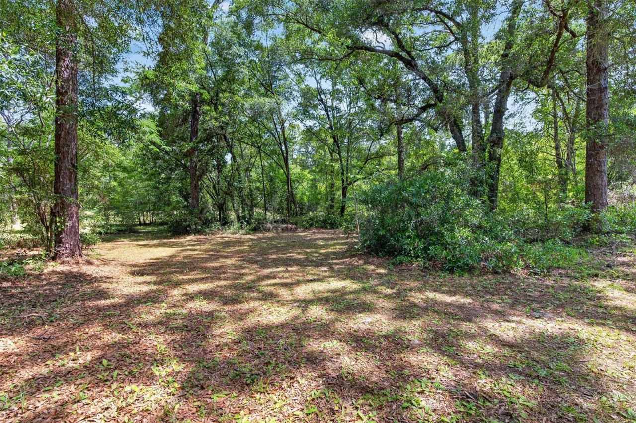 15337 Virts Avenue, Brooksville, FL 34604 Photo