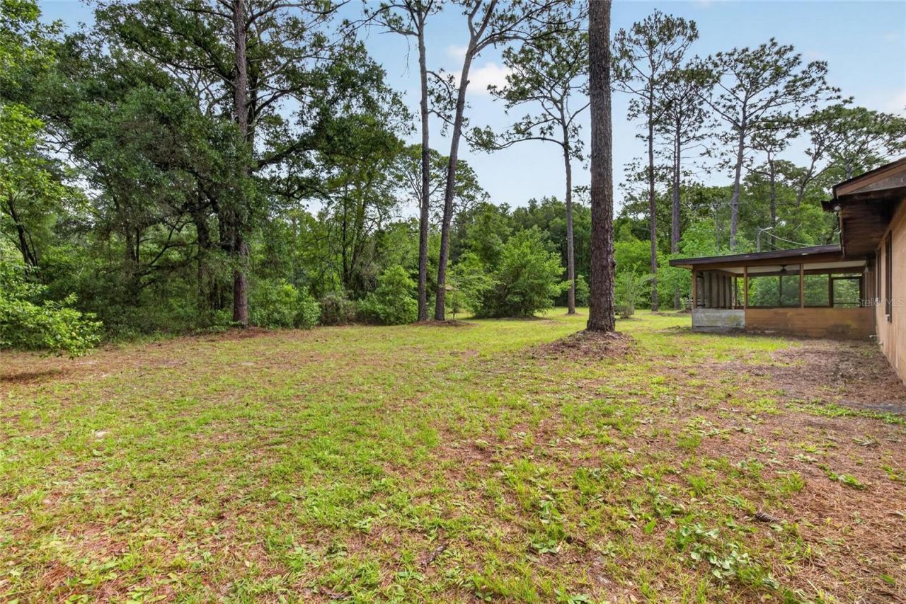 15337 Virts Avenue, Brooksville, FL 34604 Photo