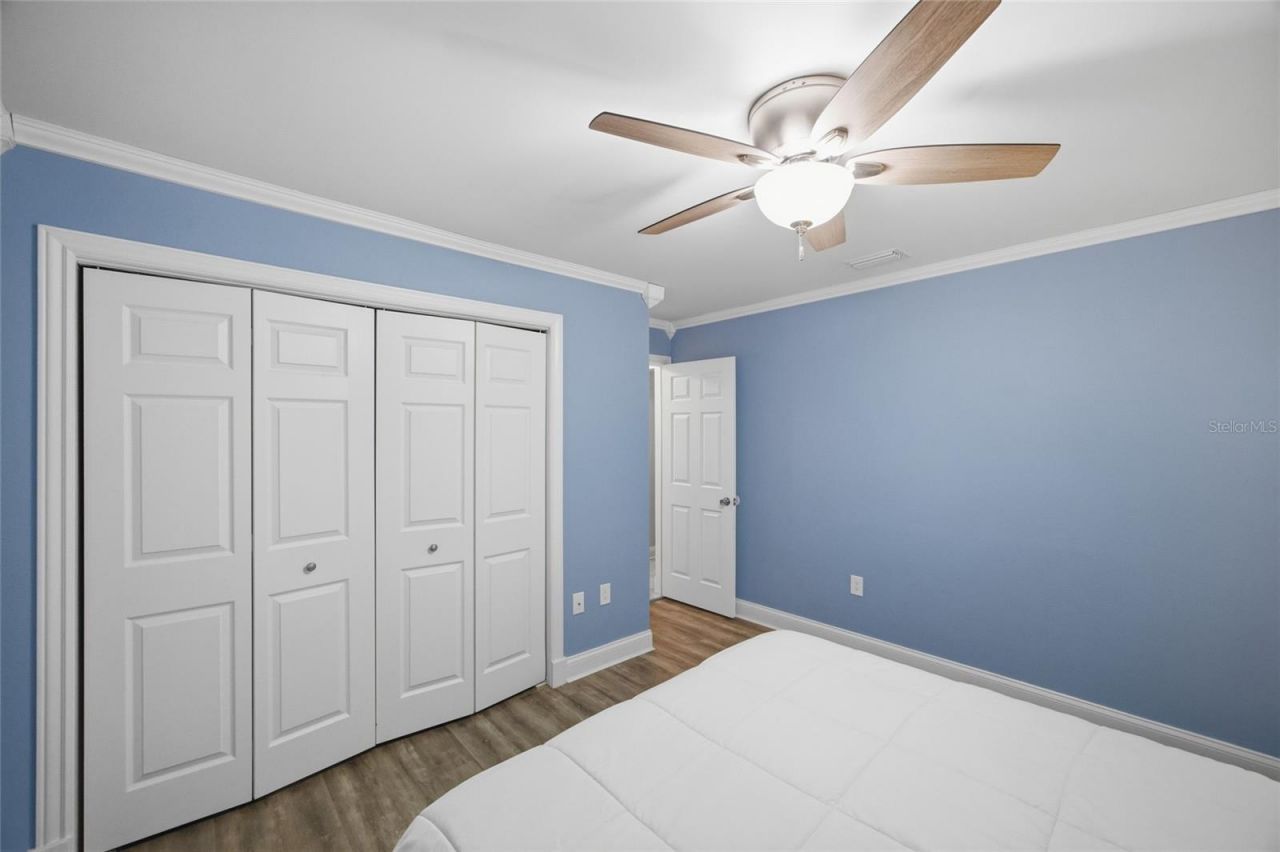 2447 Grove Ridge Drive, Palm Harbor, FL 34683 Photo