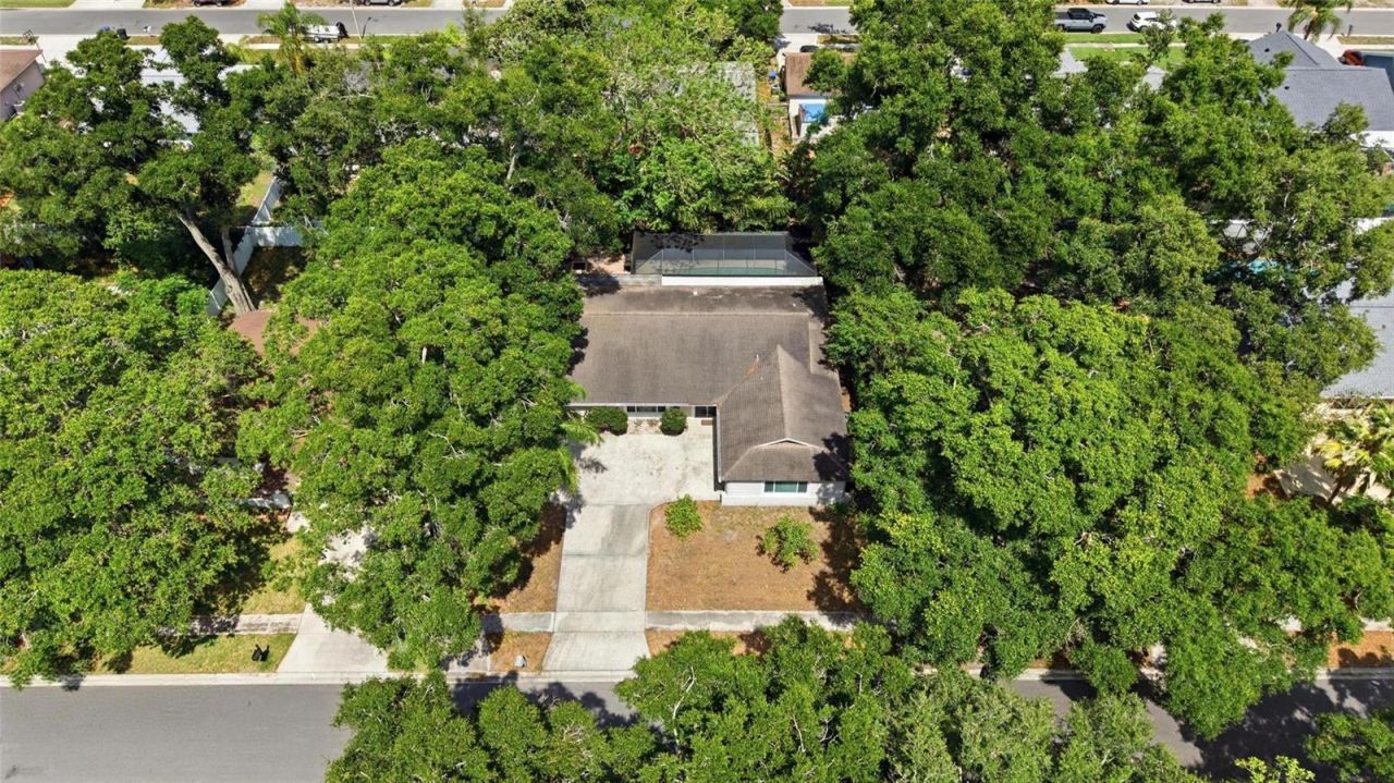 2447 Grove Ridge Drive, Palm Harbor, FL 34683 Photo