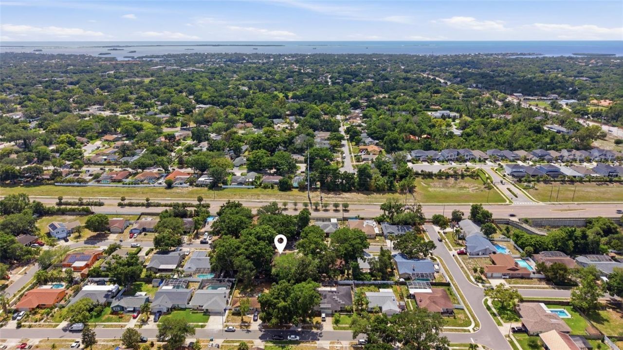 2447 Grove Ridge Drive, Palm Harbor, FL 34683 Photo