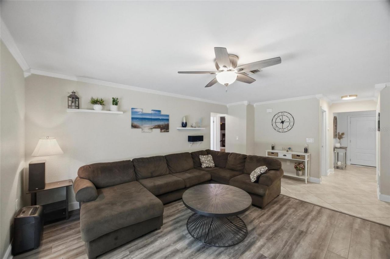 2447 Grove Ridge Drive, Palm Harbor, FL 34683 Photo
