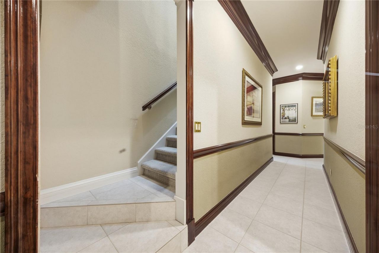 4123 Highland Park Circle, Lutz, FL 33558 Photo