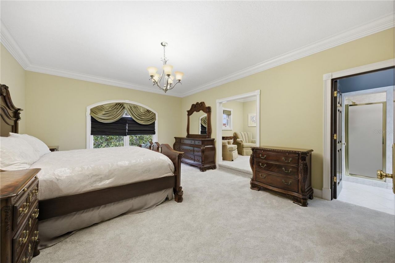 4123 Highland Park Circle, Lutz, FL 33558 Photo