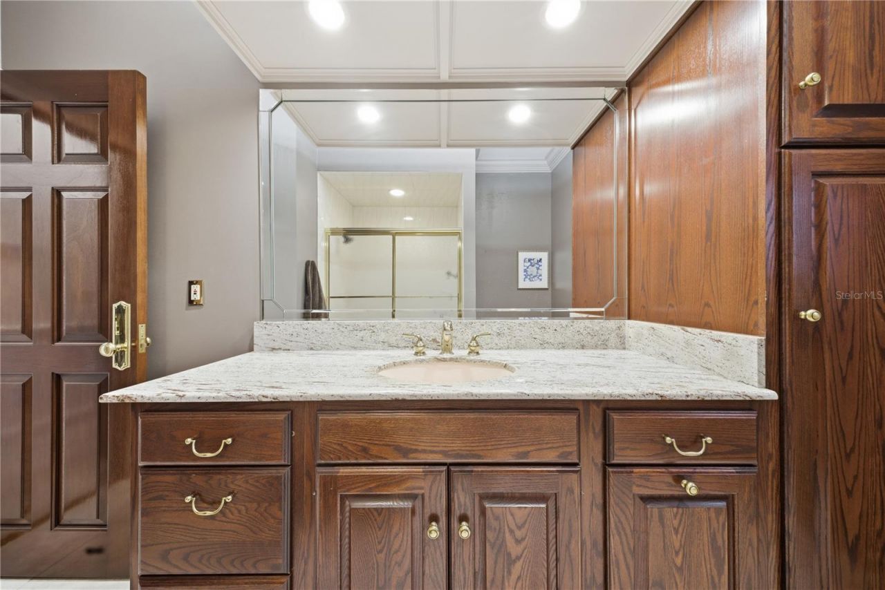 4123 Highland Park Circle, Lutz, FL 33558 Photo