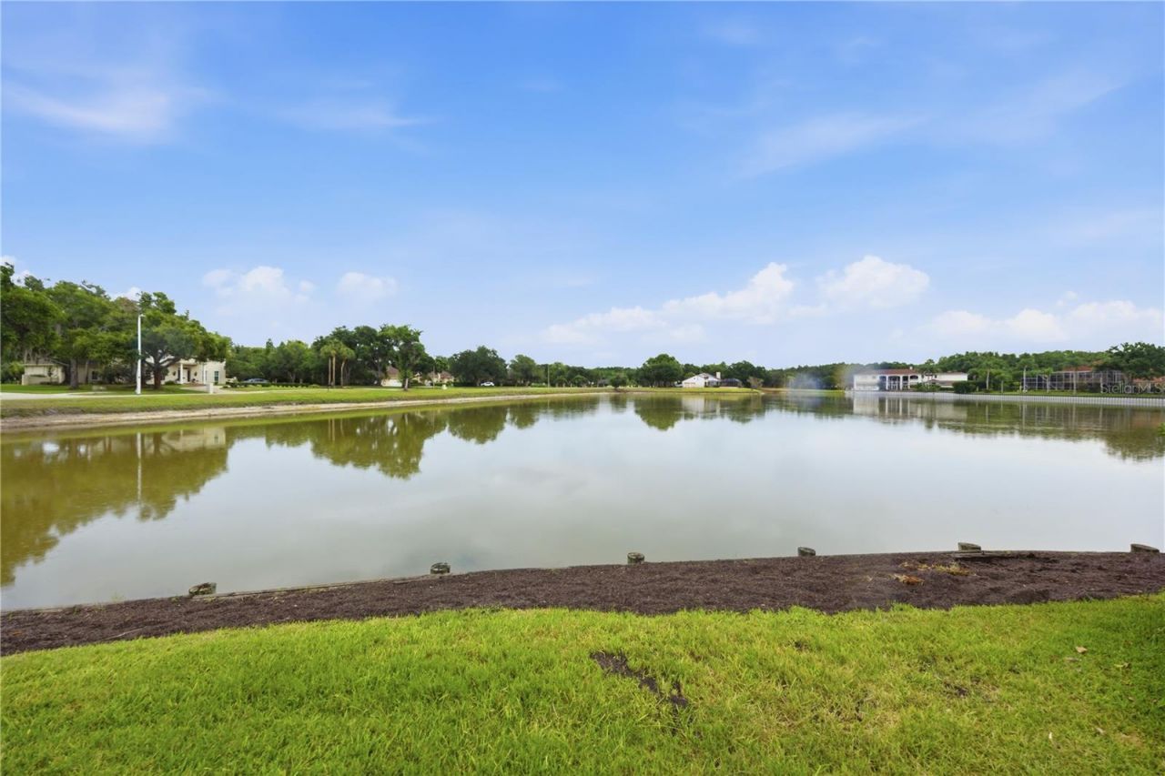 4123 Highland Park Circle, Lutz, FL 33558 Photo